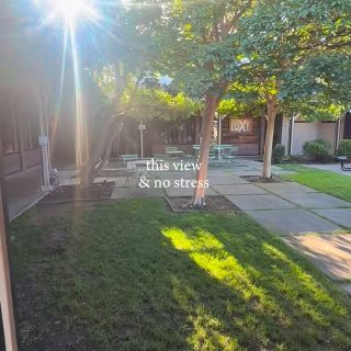 This courtyard has become one of my favorite parts of the new space. 🥹🌿✨

Peaceful energy, fresh air, sunshine, plants everywhere… and for a moment, life just slows down a little.

And this Saturday, we get to fill this space with healing. 🤍

✨ Join us for my Grand Opening on June 6
🌿 FREE Group Reiki + Sound Bath at 8am
🥂 Followed by snacks, drinks, giveaways, and community until 2pm

If you’d like to join the free healing session, RSVP through the link in my bio or at sageandlotus.com ✨